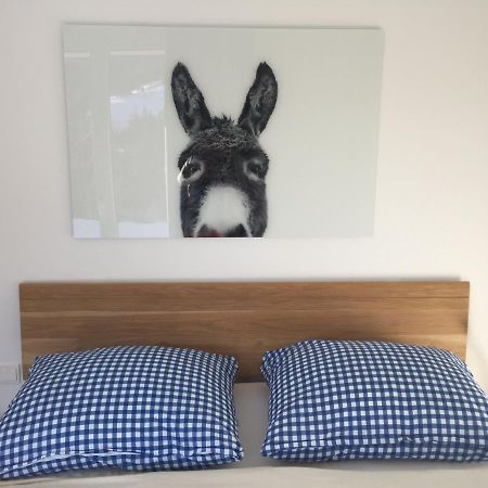 Exklusive Ferienwohnung Am Prielerweg In 茵特斯托德 外观 照片