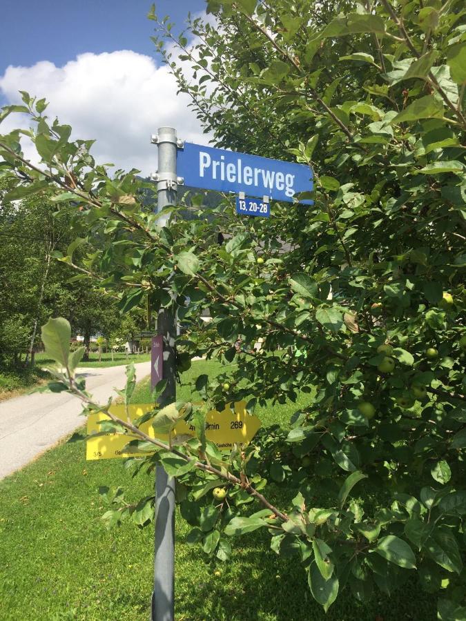 Exklusive Ferienwohnung Am Prielerweg In 茵特斯托德 外观 照片