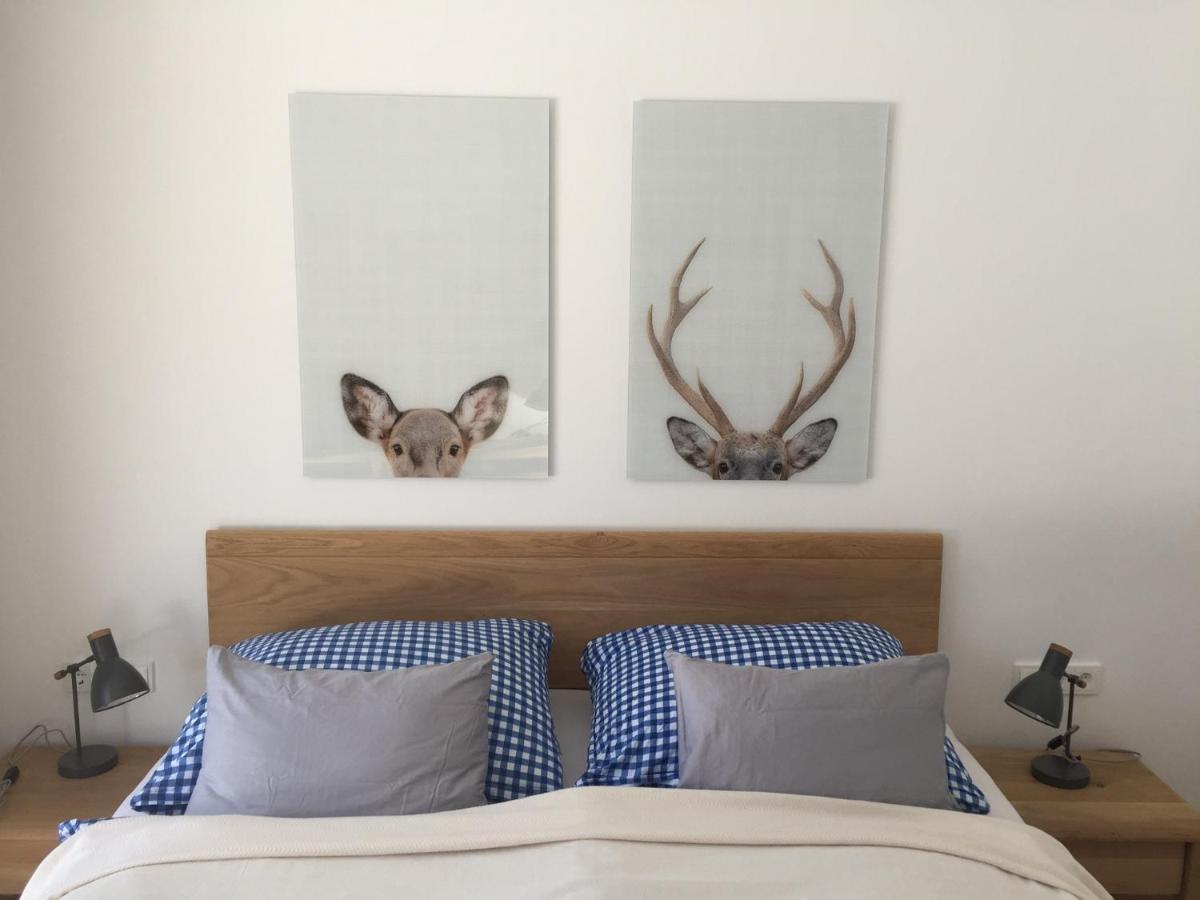 Exklusive Ferienwohnung Am Prielerweg In 茵特斯托德 外观 照片